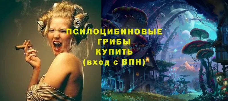 Галлюциногенные грибы Cubensis  купить  сайты  ОМГ ОМГ ССЫЛКА  Бор 